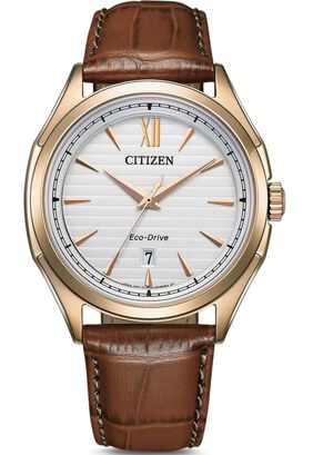 Reloj Citizen Hombre AW1753-10A Premium Eco-Drive,hi-res