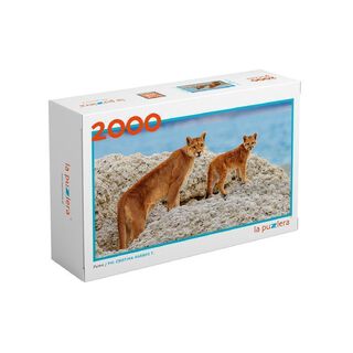 Puzzle 2000 Piezas Puma,hi-res