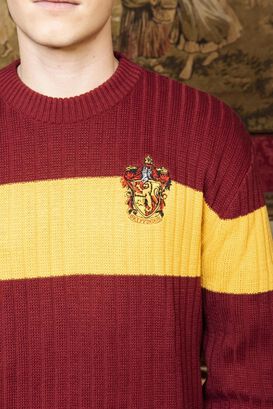 Harry Potter Quidditch Gryffindor Sweater,hi-res
