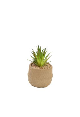 Cactus artificial 18cm,hi-res