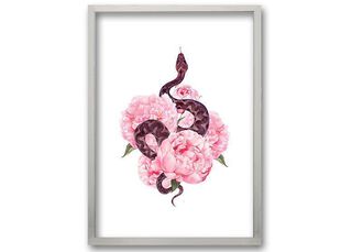 Cuadro 40x30 cm ilustración Flor de veneno,hi-res
