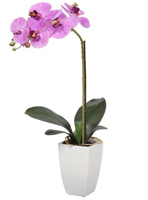 Orquídea morada de 52 cm en macetero,hi-res