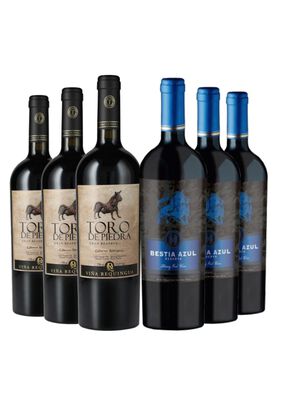 6 Vinos Pack Asado: 3 Toro De Piedra + 3 Bestia Azul Reserva,hi-res