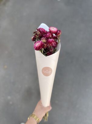 Flores Secas- Helicriso Rosado Oscuro,hi-res