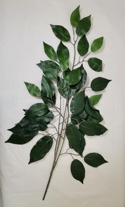 Planta Decorativa Rama Ficus 50Cm,hi-res