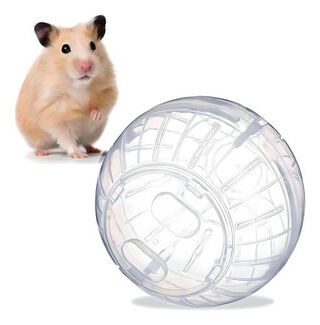 Esfera Hamster roedores transparente 16cm 30881,hi-res