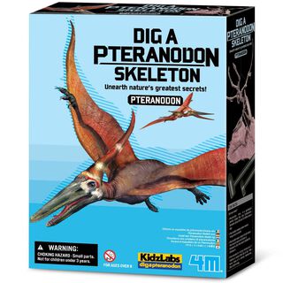 Dinosaurio Pteranodon Excava,hi-res