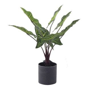 Planta Decorativa Artificial Alocasia Zebrina,hi-res
