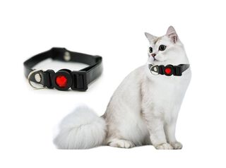 Collar Para Tu Mascota Gato De Nylon Negro Hey,hi-res