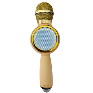 Micrófono Parlante Karaoke BT TWS con Luces Recargable Gold,hi-res