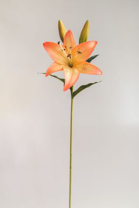 Lilium Naranjo con Rosado Flor Artificial by Le Bouquet 68,5 cm,hi-res