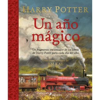 Harry Potter: Un Año Magico,hi-res