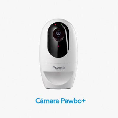 Nueva cámara interactiva mascotas Pawbo
